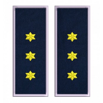 GRADE INSPECTOR PRINCIPAL POLITIA DE FRONTIERA IGPFR